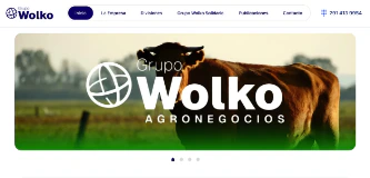 Diseño Web - Grupo Wolko